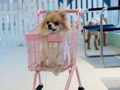 -怪兽屋·羊驼·猫咖·狗咖(俊华广场店)