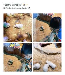 -酷嗒动物文化乐园(cutezoo西溪乐天城店)