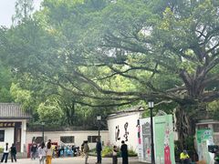-墨池公园