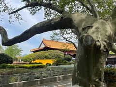 -明故宫遗址公园