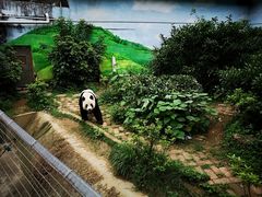 -柳州市动物园