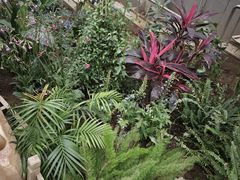 -沈阳植物园