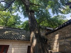 -青岛崂山太清宫