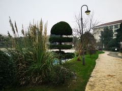 -上海东方佘山翰悦阁酒店·Vie全日制餐厅