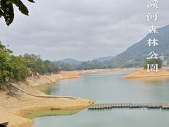 -广州市流溪河国家森林公园