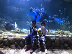 -华夏文旅海洋公园