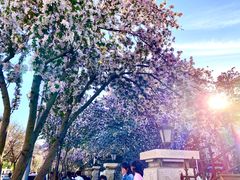 -天津五大道文化旅游区