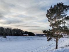 -北极村旅游风景区