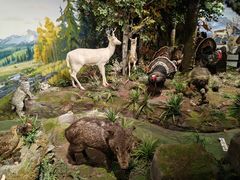 -陕西自然博物馆