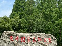 -东平国家森林公园