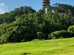 -红花山公园