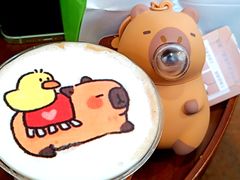 -ZOO COFFEE动物园咖啡(红山森林动物园店)