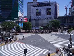 -涩谷全向十字路口
