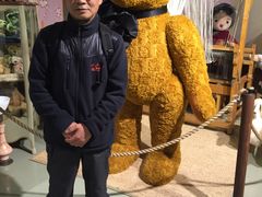 -济州岛泰迪熊博物馆