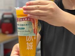 -蜜雪冰城(大智路店)