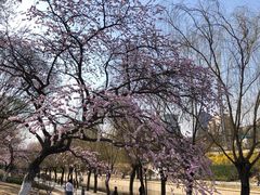 -元大都城垣遗址公园