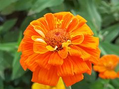 -武汉紫薇都市田园