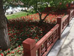 -燕郊植物园