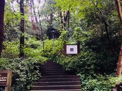 -宋宴(虎跑店)