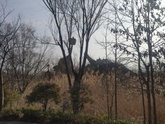 -自然谷恐龙园