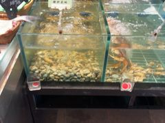 -黄山老妈·土菜(碧桂园店)