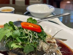 -山水茶艺馆·点心粤菜·30年老字号