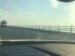 -东平国家森林公园