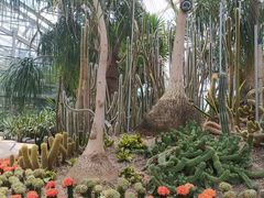 -南山植物园