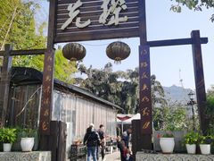 -先机泉水鸡汤(南山老君洞店)