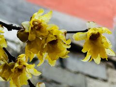 -西安大兴汤院遗址公园