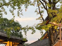 -茅山东方盐湖城景区