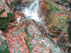 -藏龙百瀑风景区