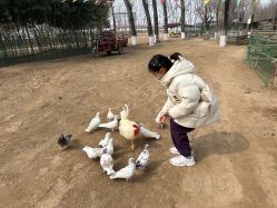 -上美四季动物农场