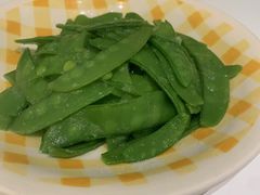 -红蕾家政·保姆·育儿嫂·钟点工