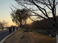 -羊山湖公园