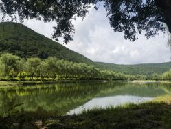 -青龙渔业旅游景区