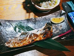 -大鮨寿司(吾悦广场店)
