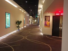 -嘉华国际影城(学清路店)