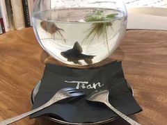 -Tian品