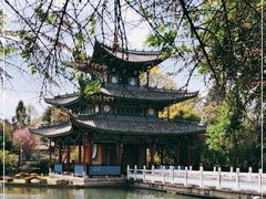 -黑龙潭公园