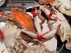 -一方渔歌蒸汽海鲜自助(文化路万达广场店)