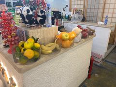 -国宝熊猫酒店(春熙路天府广场店)