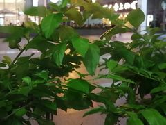 -黔派·虾子羊肉粉·小吃(佳宁娜广场店)