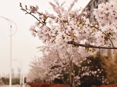 -江南大学(蠡湖校区)
