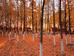 -艾溪湖湿地公园