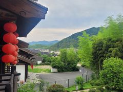 -大唐贡茶院