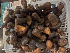 黑牛肝-抚仙湖生态石锅鱼野生菌(告庄店)