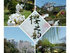 -堤角公园