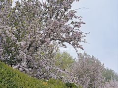 -元大都城垣遗址公园