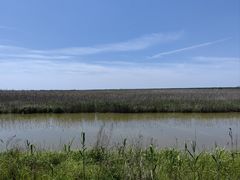 -盐城丹顶鹤湿地生态旅游区